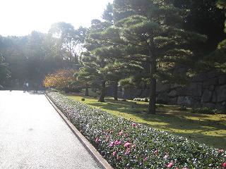 20091128-007.jpg