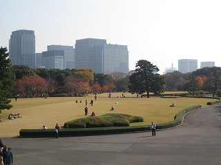 20091128-015.jpg