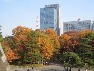 20091128-018.jpg