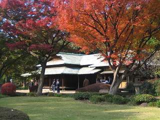 20091128-022.jpg