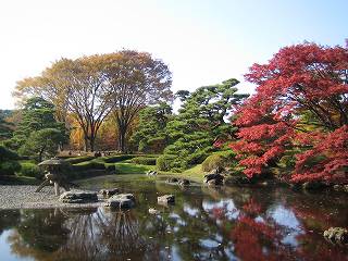 20091128-026.jpg