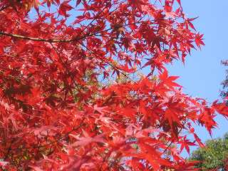 20091128-025.jpg