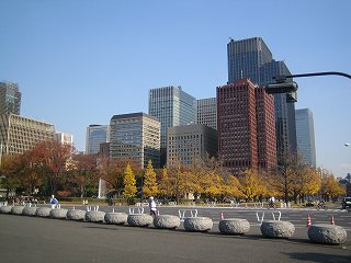 20091128-030.jpg