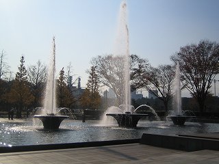 20091128-042.jpg