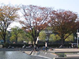 20091128-041.jpg