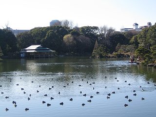 20100109-015.jpg