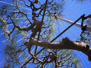20100109-018.jpg