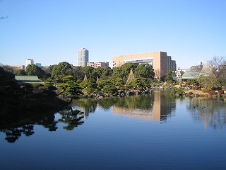 20100109-020.jpg