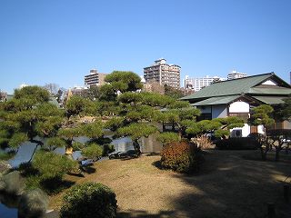 20100109-027.jpg