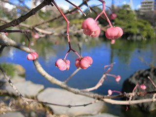 20100109-031.jpg