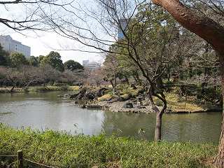 20100313-019.jpg