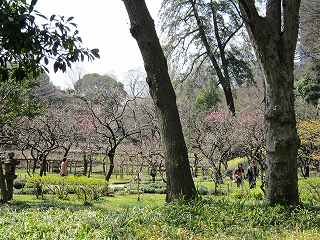 20100313-016.jpg