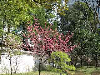 20100313-022.jpg