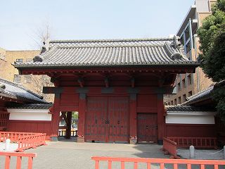 20100313-036.jpg