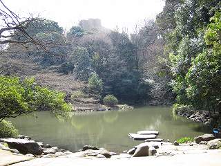20100313-040.jpg