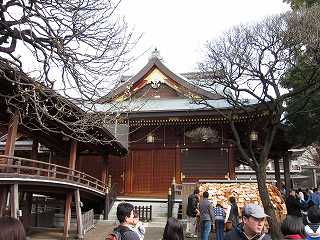 20100313-042.jpg