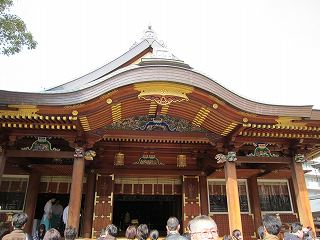 20100313-047.jpg