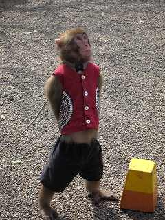 20100313-046.jpg