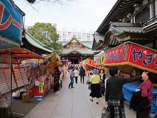 20100313-049.jpg