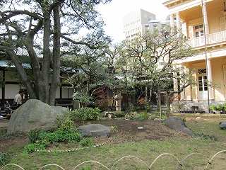 20100313-062.jpg