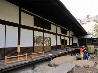 20100313-060.jpg