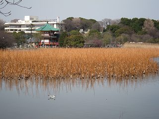 fumi4008_image025.jpg