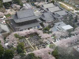 20100403-063.jpg