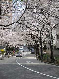 20100403-093.jpg