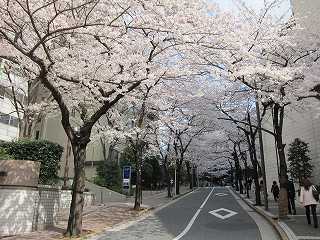 20100403-105.jpg