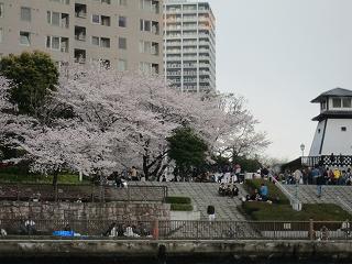 20100403-116.jpg