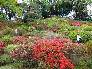 20100424-053.jpg