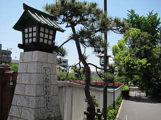 20100508-027.jpg