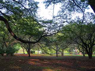 20101016-004.jpg