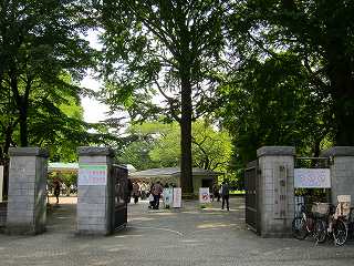 20101016-003.jpg