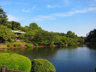20101016-005.jpg
