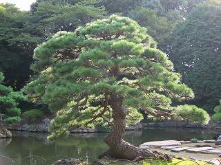 20101016-013.jpg