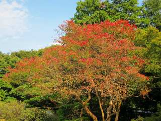 20101016-015.jpg