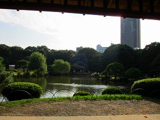 20101016-016.jpg
