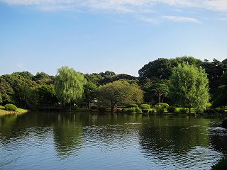 20101016-019.jpg