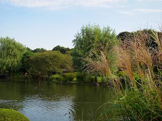20101016-020.jpg