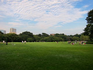 20101016-023.jpg