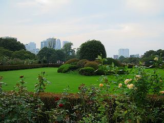 20101016-031.jpg