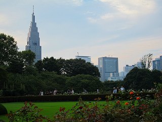 20101016-029.jpg