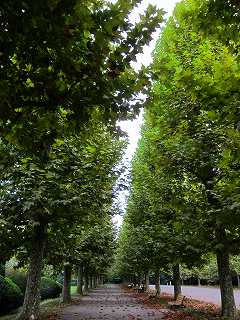 20101016-032.jpg