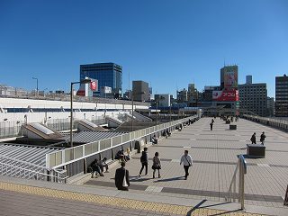 20101103-005.jpg
