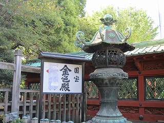 20101103-021.jpg