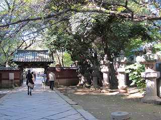 20101103-010.jpg