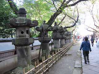 20101103-013.jpg