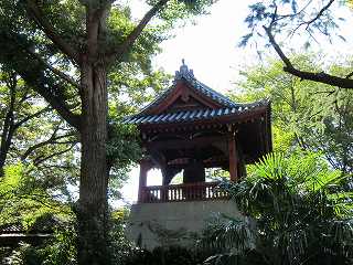 20101103-024.jpg