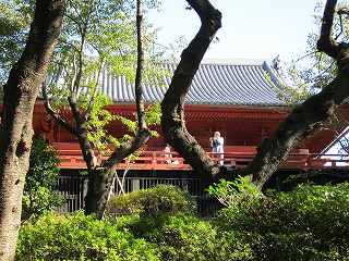 20101103-031.jpg